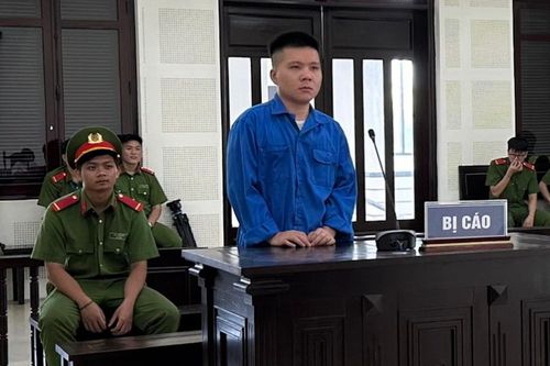 Mới ra tù, gã thanh niên lại cướp túi xách nữ du khách Ấn Độ