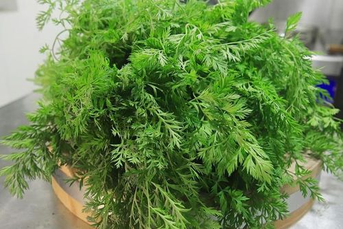 Loại rau có lượng canxi cao gấp 3 lần sữa, gấp 7 lần trứng