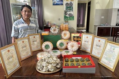'Đút túi' 2 tỷ/năm nhờ nuôi loài chim hoang dã