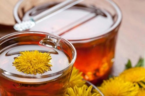 Trồng bồ công anh, có ngay tủ thuốc trong vườn