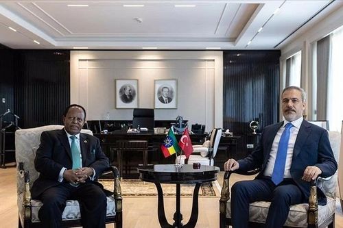 Somalia-Ethiopia đàm phán giải quyết vấn đề chủ quyền, Thổ Nhĩ Kỳ nỗ lực vào vai người hòa giải