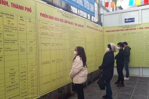 Thanh niên vẫn gian nan trên hành trình tìm việc