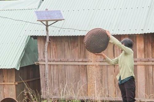 Kéo điện về cho thôn nằm lọt thỏm giữa rừng