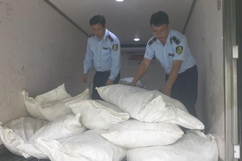 Bắt giữ 1,9 tấn chân gà không rõ nguồn gốc, bốc mùi hôi thối