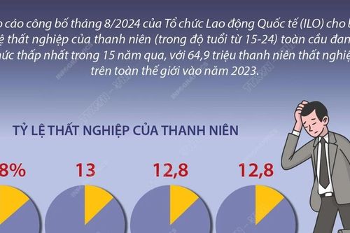 64,9 triệu thanh niên thất nghiệp trên toàn thế giới năm 2023