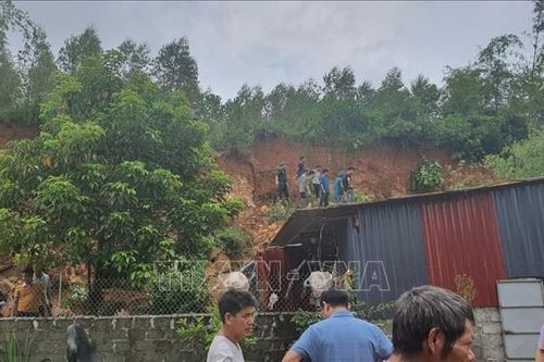 Sạt lở đất ở Vĩnh Phúc khiến 1 người chết, 1 người bị thương