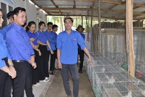 Anh nông dân 'phát tài' nhờ nuôi gà ngoại quốc, giá 15 triệu đồng/con