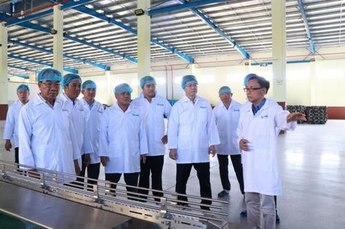 Bình Thuận: Kiểm tra tiến độ dự án Cụm công nghiệp Sông Bình và Nhà máy chế biến sữa Thông Thuận