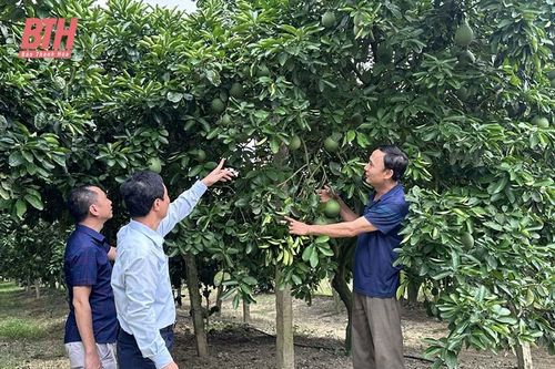 Đồng hành cùng nông dân làm giàu