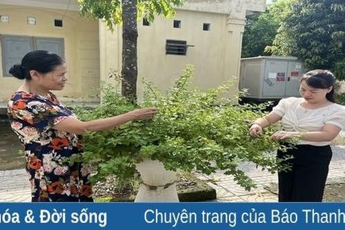 Chi hội trưởng phụ nữ gương mẫu, hết mình vì công việc