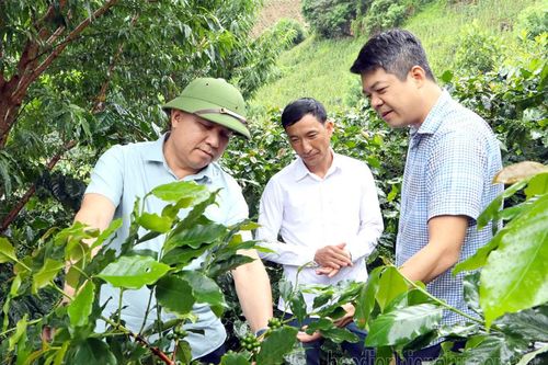 Tập trung đôn đốc, đẩy nhanh tiến độ giải ngân vốn đầu tư công