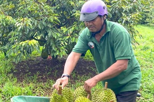 Sport Farm làm nông nghiệp bằng sự tử tế