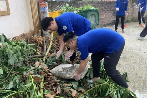 Thanh niên góp sức bảo vệ môi trường thông qua 'Ngày Chủ nhật xanh'