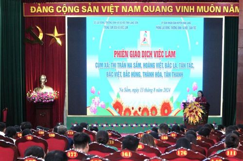 Hơn 200 người tham gia phiên giao dịch việc làm theo cụm xã tại huyện Văn Lãng