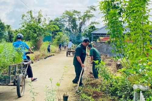 Chung tay xây dựng môi trường xanh - sạch - đẹp