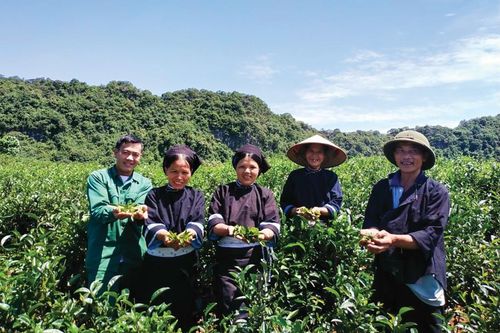 Phát triển nghề thủ công truyền thống liên quan đến trang phục dân tộc thiểu số
