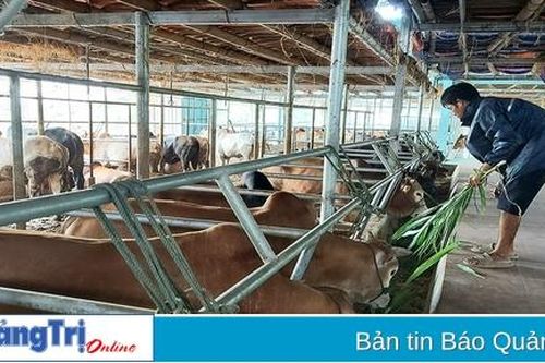 Kết quả nổi bật từ các chính sách phát triển nông nghiệp ở Hướng Hóa