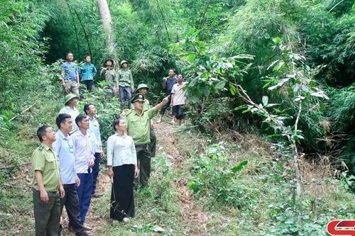 Nguồn lực để Mường Giôn giữ rừng