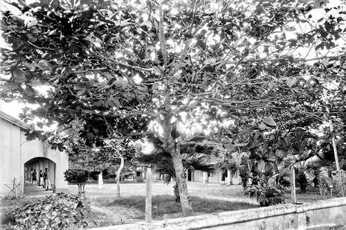 Tình hình ruộng đất và nông nghiệp ở Tuyên Quang thời kỳ Pháp thuộc (1884 - 1945)