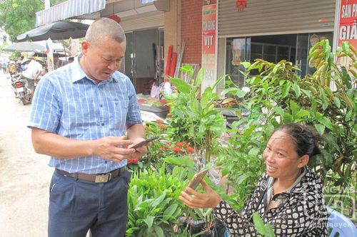 Phú Bình: Trên 2 tỷ đồng đầu tư sửa chữa, nâng cấp các chợ