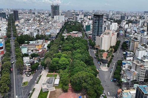 Thành phố Hồ Chí Minh: Thực hiện các giải pháp đảm bảo an toàn đối với hệ thống cây xanh