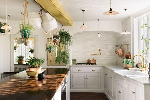 Làm sạch hiệu quả, bảo vệ sức khỏe với nước lau bếp Careox