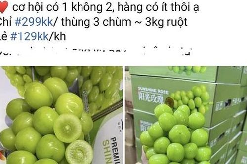 Chỉ vài năm, loại quả nổi tiếng đắt đỏ trên thế giới đã trở thành hàng siêu rẻ