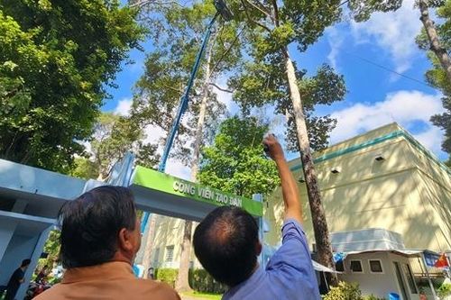'Soi' cây xanh khiếm khuyết bằng flycam để tránh sự cố đáng tiếc