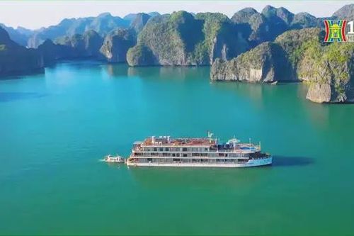 Hạ Long sắp đón tỷ phú Ấn Độ và 6.000 nhân viên