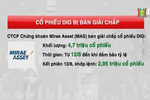 Cổ phiếu DIG bị bán giải chấp