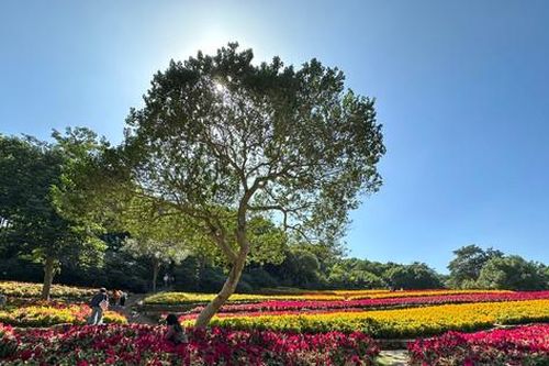 Quảng bá du lịch Nam Ninh (Trung Quốc) tại Hà Nội