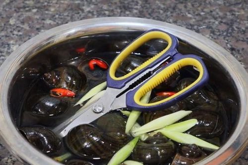 Công dụng cho thêm thìa Inox vào chậu ngâm ốc trước khi chế biến, kinh nghiệm quý báu và bình luận 'bá đạo' của cư dân mạng