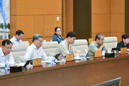 Hai luồng quan điểm về phân bón chịu thuế suất 5%