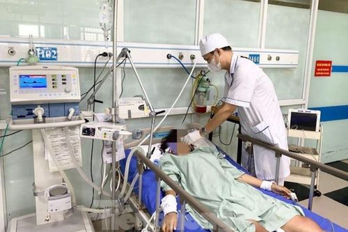 Đi rừng, cô gái 17 tuổi bị ong đốt nguy kịch