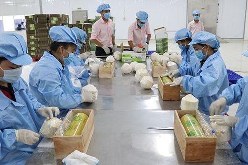 Nông sản xuất khẩu Việt Nam tiếp tục đối mặt nhiều rào cản