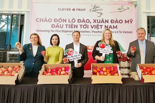 Đặc sản trái cây 'mùa hè nước Mỹ' lần đầu có mặt tại Hà Nội