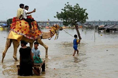 Mưa lũ bất thường làm hàng trăm người thiệt mạng ở Ấn Độ và Nepal