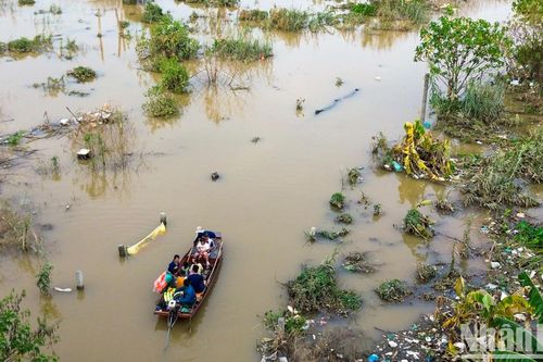 Bãi giữa sông Hồng ngập sâu, người dân Hà Nội phải đi thuyền vào nhà