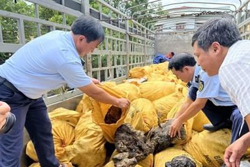 Quảng Bình: Phát hiện, thu giữ hơn 11 tấn mỡ động vật không rõ nguồn gốc