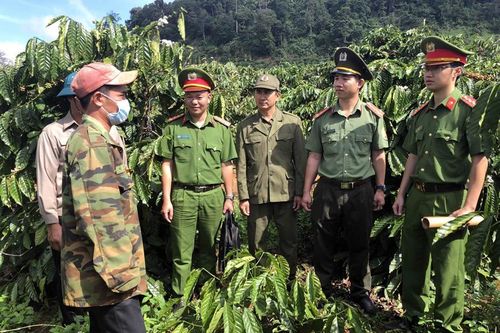 Kỳ 2- Xây dựng Công an xã, thị trấn thực sự trở thành 'điểm tựa' bình yên của Nhân dân