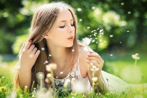 Top các loại hoa, thảo dược hỗ trợ phòng ung thư người dân đổ xô tìm