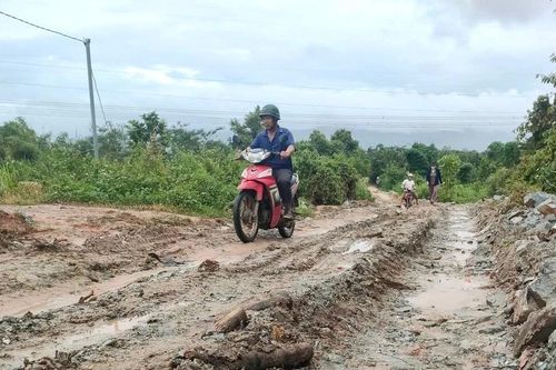 Xe chở cây cao su ở Kon Tum cày nát đường vào khu sản xuất