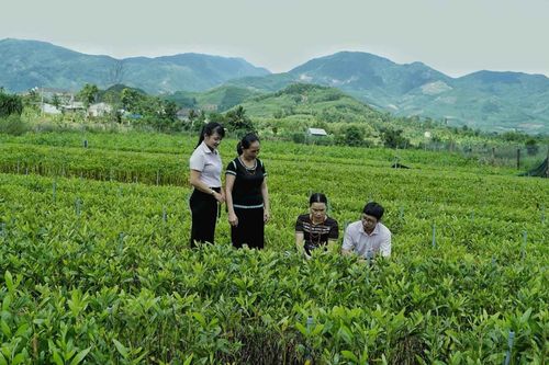 Vùng đất Minh Long viết tiếp trang sử hào hùng, vững niềm tin đi tới