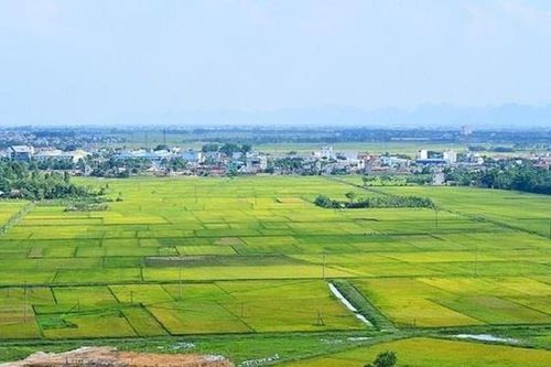 Luật Đất đai 2024 quy định về quyền tiếp cận thông tin đất đai như thế nào?