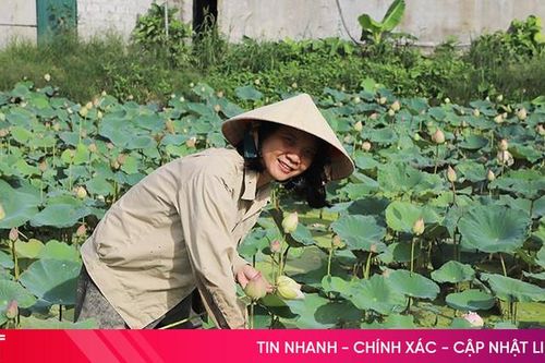 Người dân thu hoạch nông sản phục vụ thị trường rằm tháng Bảy