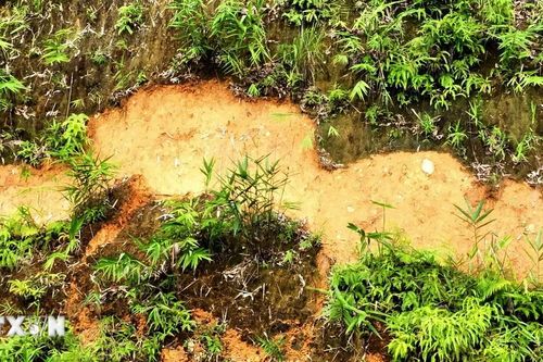 Điện Biên: Nguy cơ sạt lở lớn, tạm dừng lưu thông qua dốc Đỏ, huyện Tuần Giáo