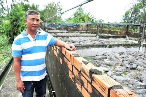 Anh nông dân dự kiếm 6 tỷ đồng nhờ nuôi con 'khổng lồ' đáng sợ