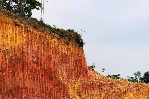 Bình Phước: Rầm rộ khai thác đất trái phép