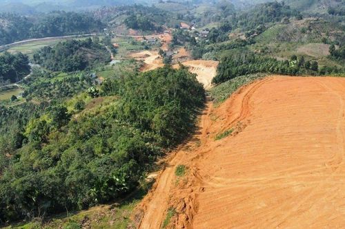 Chật vật trồng hơn 227 ha rừng thay thế ở Tuyên Quang