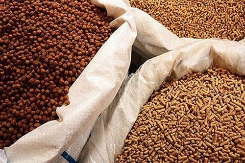 Trung Quốc - thị trường nhập khẩu nhiều nhất thức ăn gia súc và nguyên liệu của Việt Nam